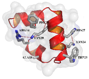 amino